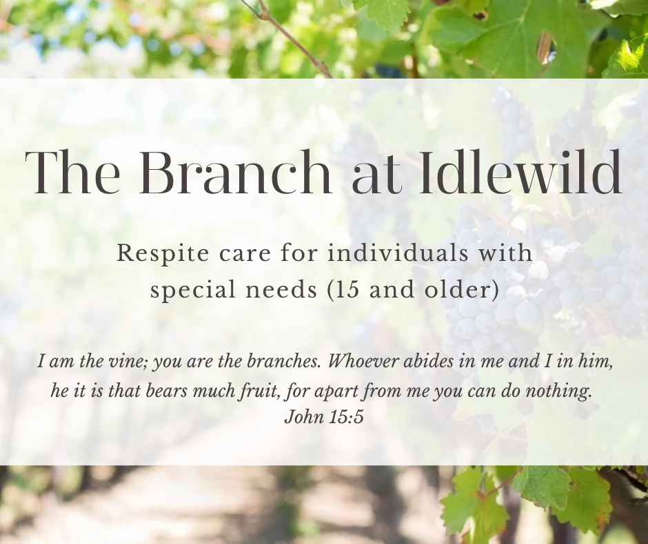 The Branch